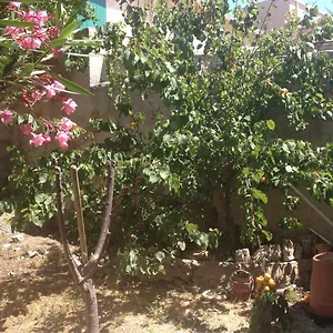 Coquet T3 à 500m De La Appartement Marseille