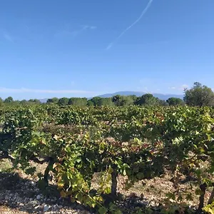 Dans Les Pins Avec Piscine Hébergement de vacances Mazan